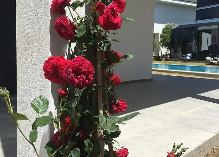 Luxury With Pool For Rent In Izmir Cesme Villa *