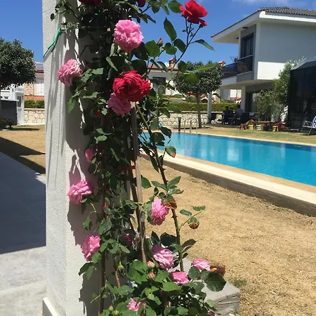 Luxury With Pool For Rent In Izmir Cesme