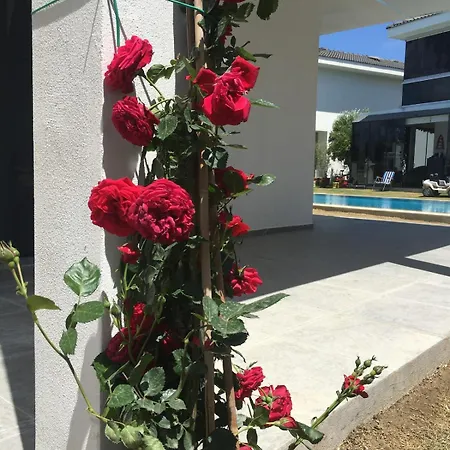 Luxury With Pool For Rent In Izmir Cesme Villa *